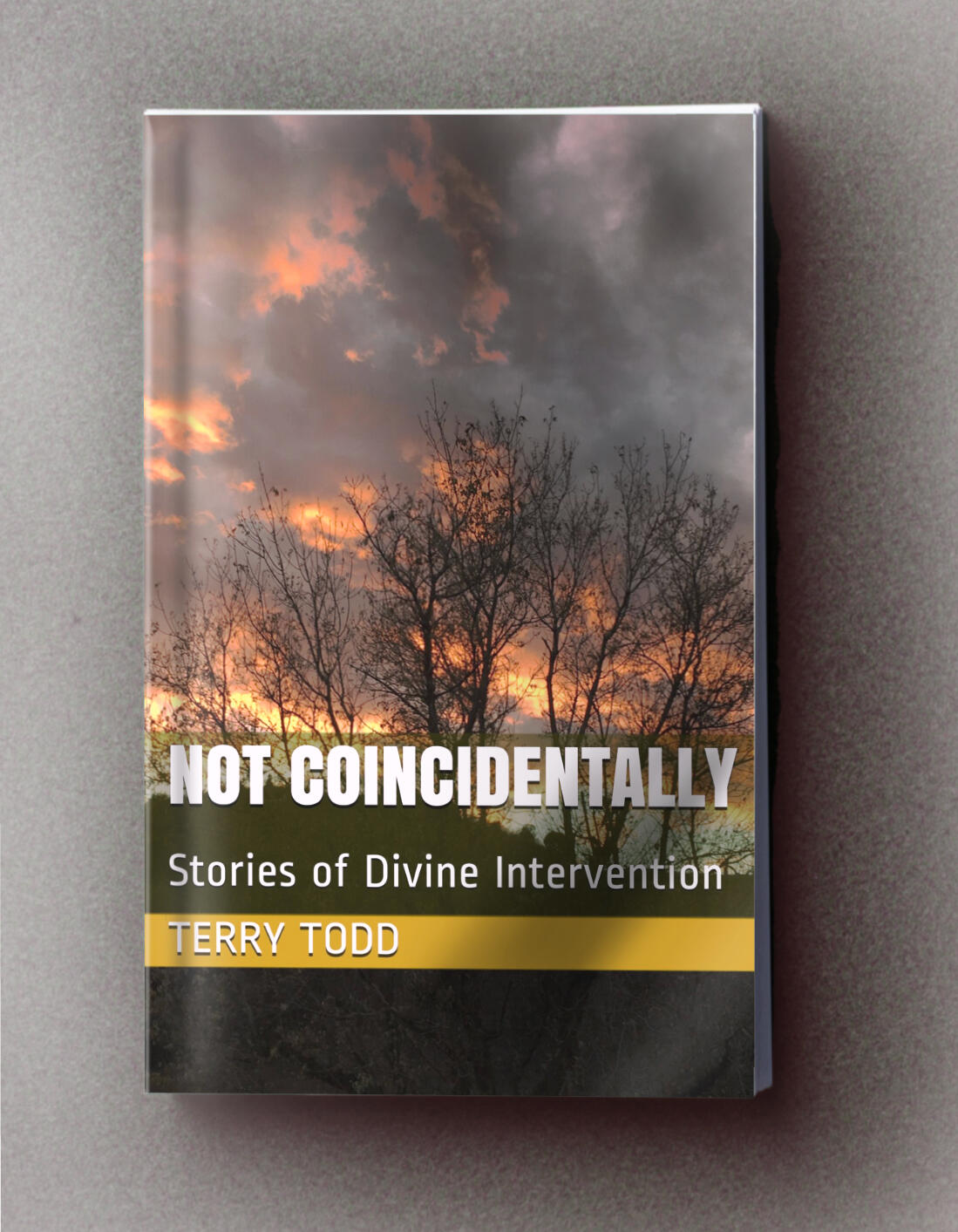 Not Coincidentally: Stories of Divine Intervention book cover sunset with silhouetted trees making them look like they are on fire.